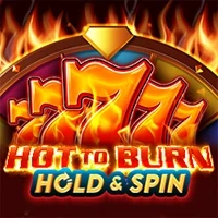 HOT TO BURN HOLD AND SPIN